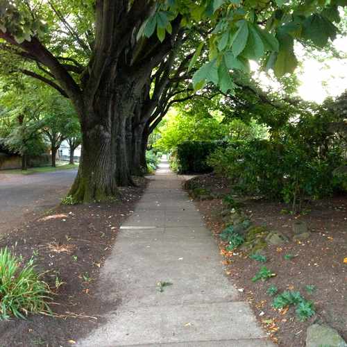 photo of NE Brazee & 10th St., Portland, OR at 2417 Northeast 11th Avenue Portland OR 97212