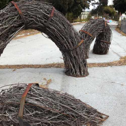 photo of Hayes Valley Farm at 450 Laguna St San Francisco CA 94102