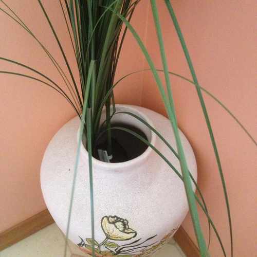 photo of Plant at 971 Annapolis Avenue Akron OH 44310