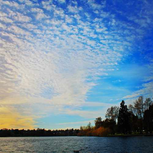 photo of Green Lake Park at 7201 West Green Lake Dr N Seattle WA 98115