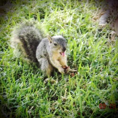 photo of Nature at 2334 North Reese Place Burbank CA 91504