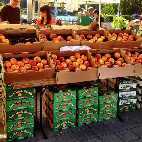 photo of Lake Oswego Farmers Market at 305 1st Street Lake Oswego OR 97034