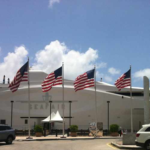 photo of Seafair Yacht at 100 Chopin Plaza Miami FL 33132