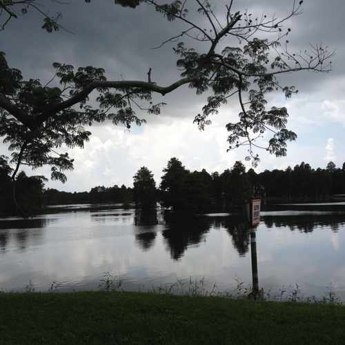 photo of Rivermills Park at 405 South Riverhills Drive Tampa FL 33617
