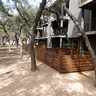 The Canopy Apartments photo #5