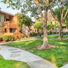 Rental info for Skylark