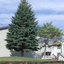 Rental info for Shalimar Estates