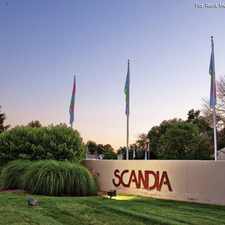 Rental info for Scandia Apartments