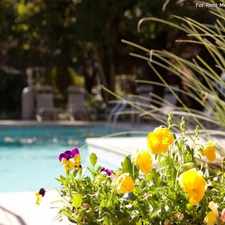 Rental info for Carmel on Providence