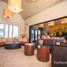 Rental info for Bela Rosa