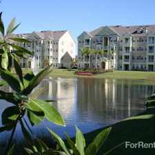 Rental info for Cane Island