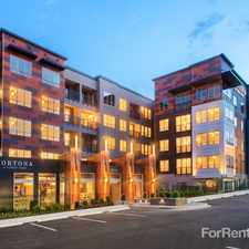 Rental info for Cortona at Forest Park