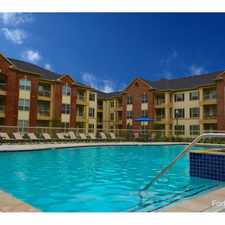 Rental info for Spring Trace