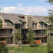 Rental info for Silverbrook