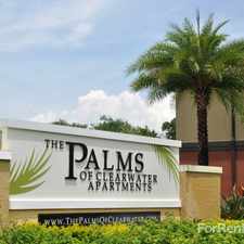 Rental info for Palms of Clearwater, The
