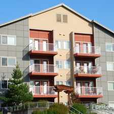 Rental info for Newberry Square