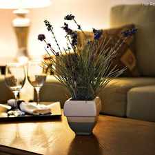 Rental info for Manchester Gardens