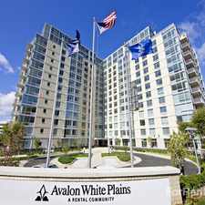 Rental info for Avalon White Plains