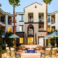 Rental info for Los Alisos at Mission Viejo