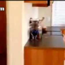 Rental info for $1800 3 bedroom House in Depoe Bay