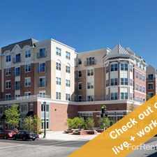 Rental info for AMLI Evanston