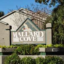 Rental info for 2900 State Rd A1A #414, Atlantic Beach