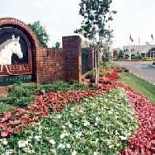 Rental info for The Reserve at Westland