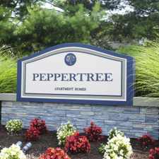 Rental info for Peppertree Apartment Homes