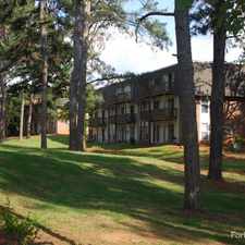Rental info for The Pointe Apartments