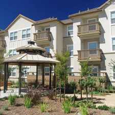 Rental info for Meadow Wood at Alamo Creek Senior Community