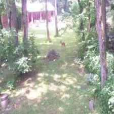 Rental info for Single Family Home Home in Butler for For Sale By Owner