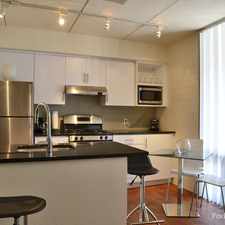 Rental info for City 15 (Newly Renovated)