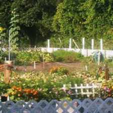 Rental info for Sunlake Estates