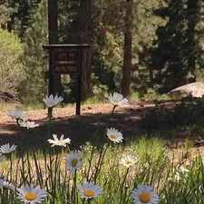 Rental info for Single Family Home Home in Truckee for Rent-To-Own