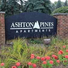 Rental info for Ashton Pines