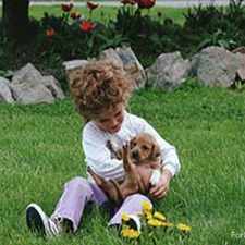 Rental info for The Park at Fountain City