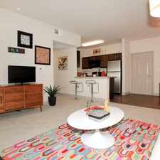 Rental info for N Lamar Blvd & W 51st St in the Triangle State area