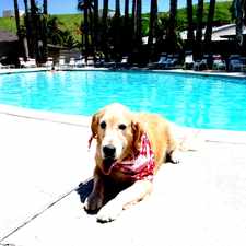 Rental info for Country Village 55+ SENIOR Apartments