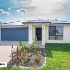 Rental info for BRAND NEW BUILD
