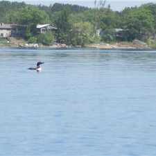 Rental info for Water Front Home