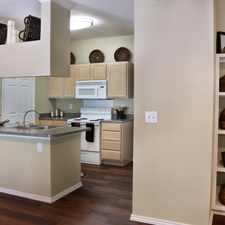 Rental info for Marquis At Ladera Vista