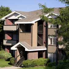 Rental info for Pinecone