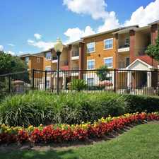 Rental info for San Mateo