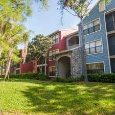 Rental info for Grande Oasis at Carrollwood