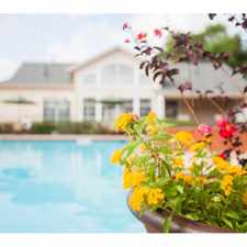 Rental info for Lodge at Merrilltown Senior