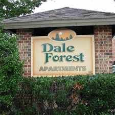 Rental info for Dale Forest