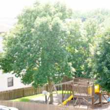 Rental info for Wedgewood Commons