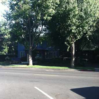 Photo of Riki in Davis