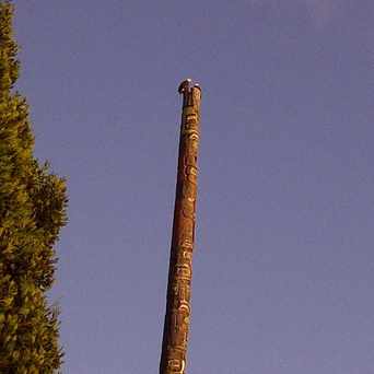 Photo of Vanier Park in Kitsilano, Vancouver