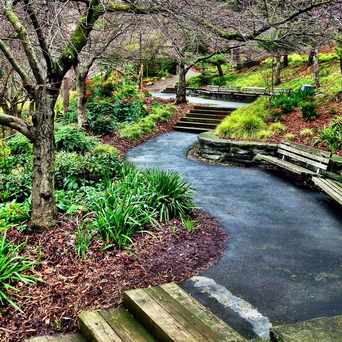 Photo of Kobe Terrace Park in International District, Seattle